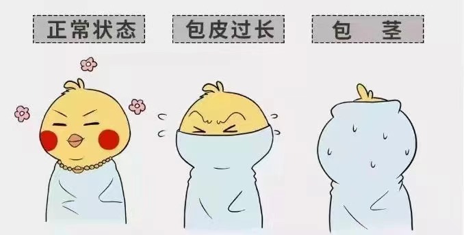 齐齐哈尔包皮包茎九游娱乐（NineGame）手游平台